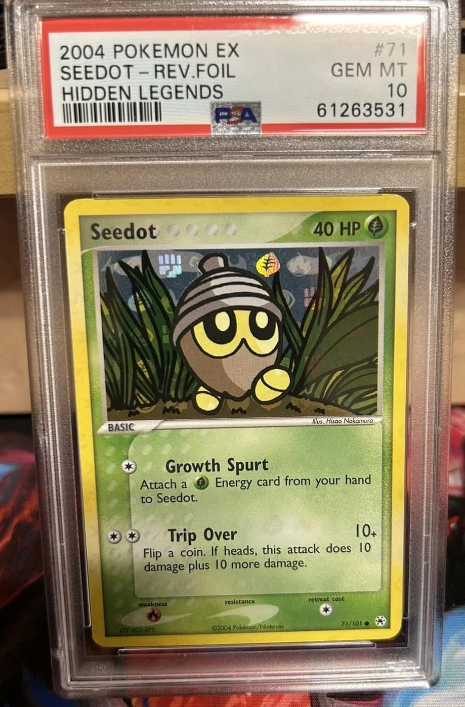 Seedot