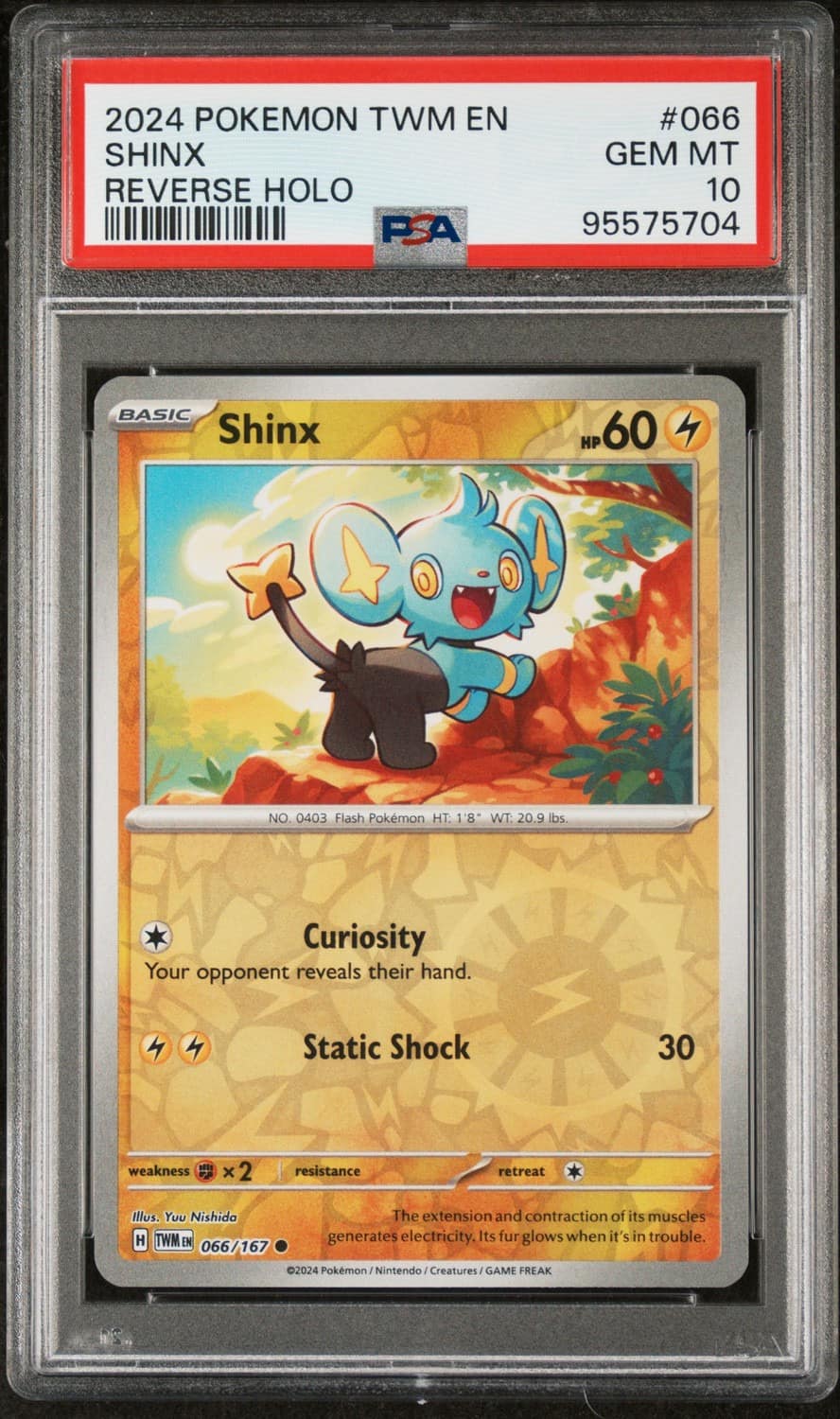 Shinx