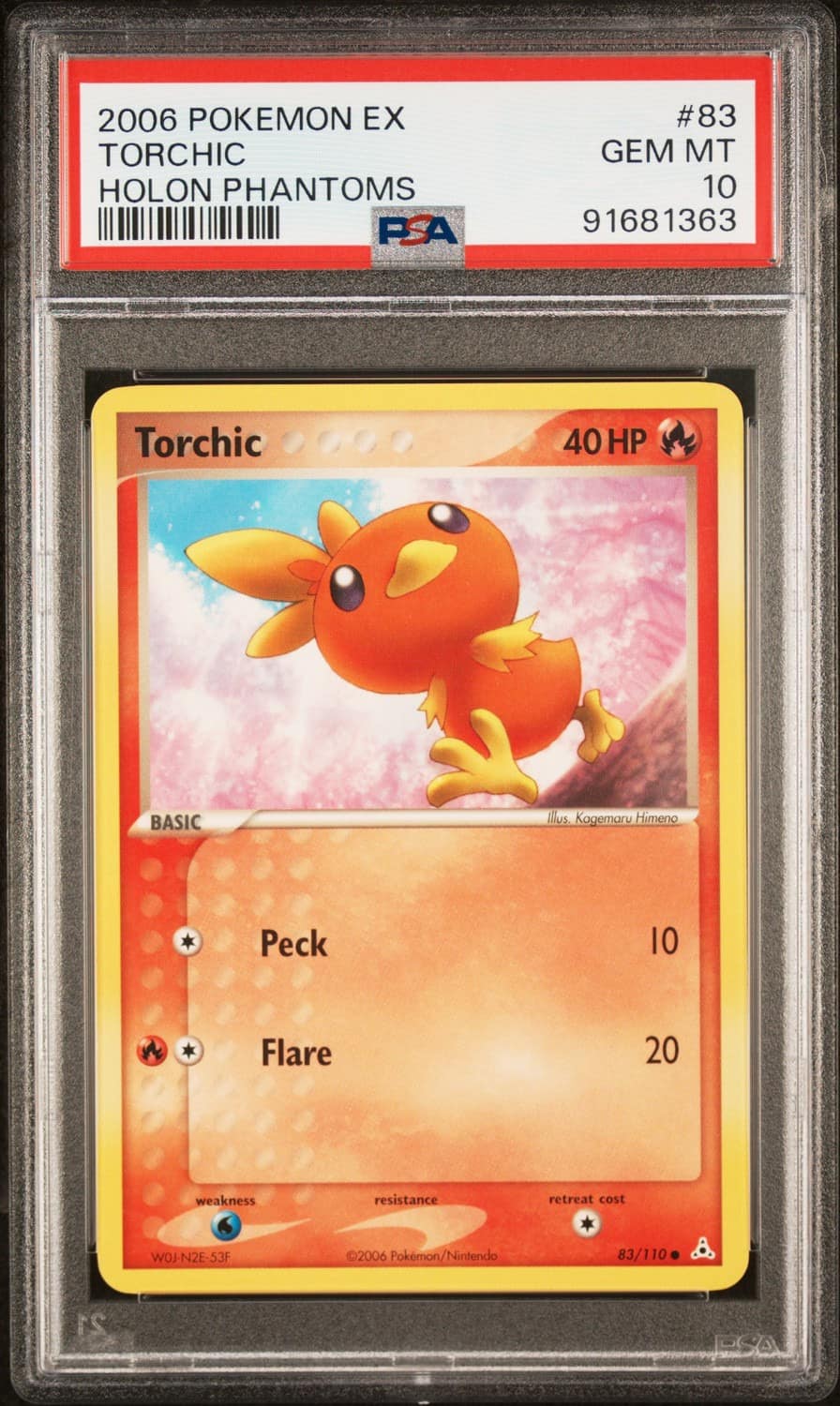 Torchic
