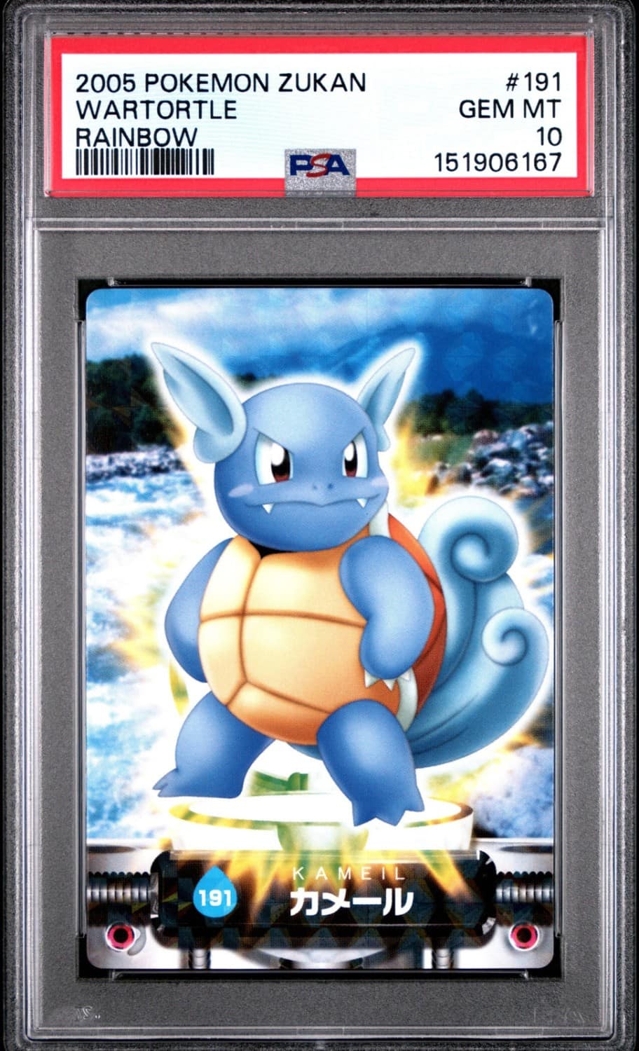 Wartortle
