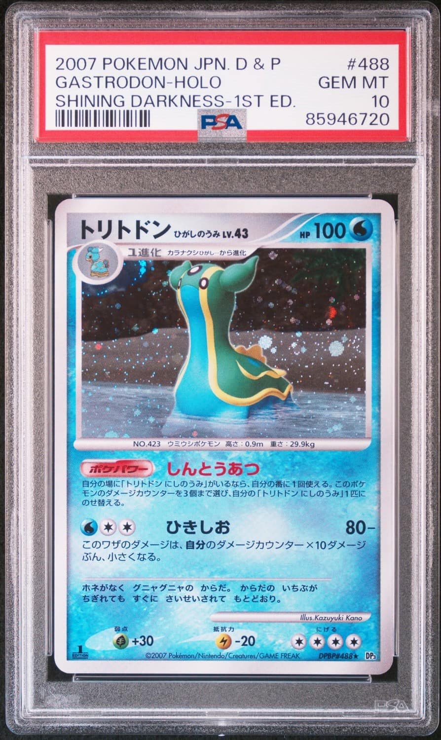 Gastrodon