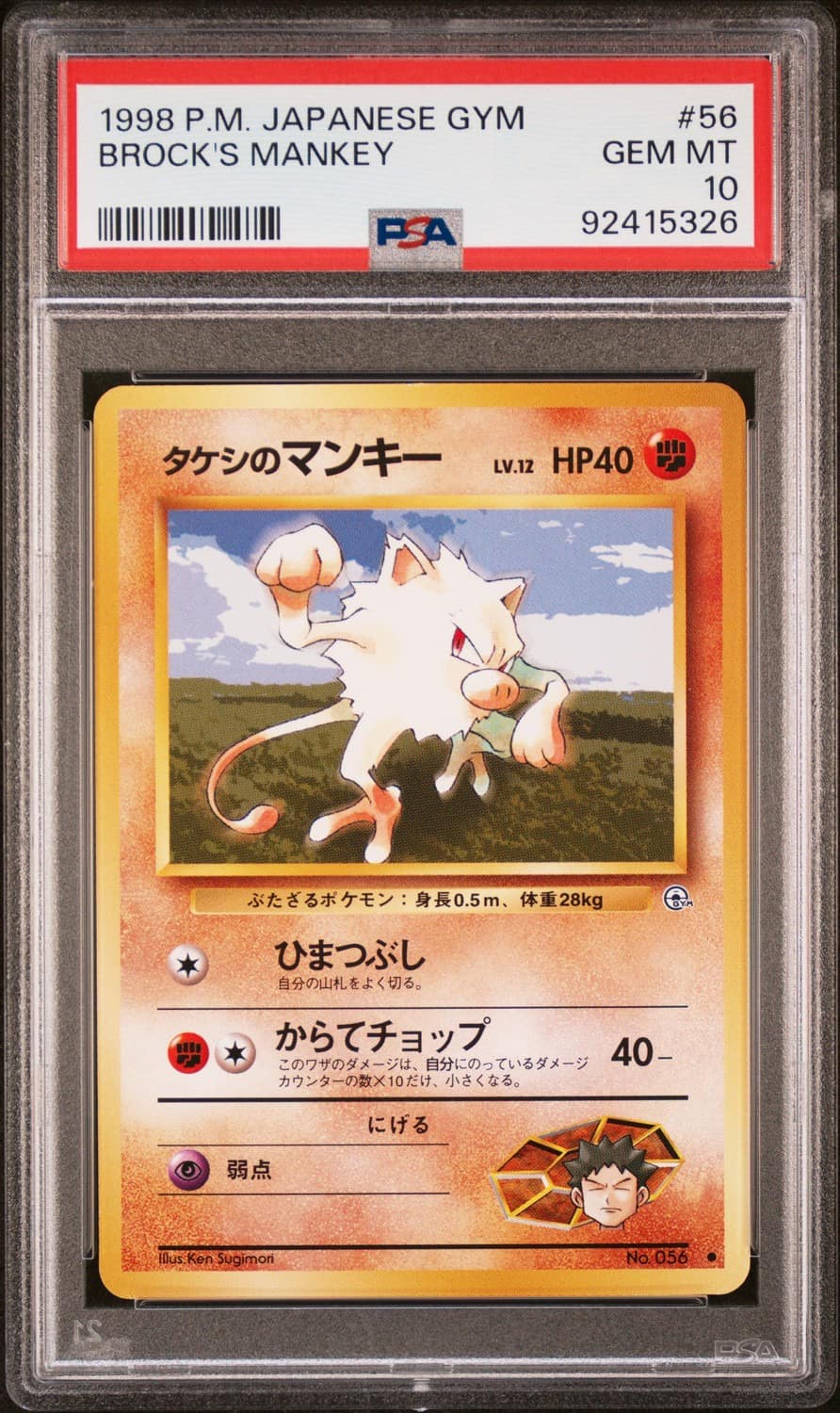 Brock'S Mankey