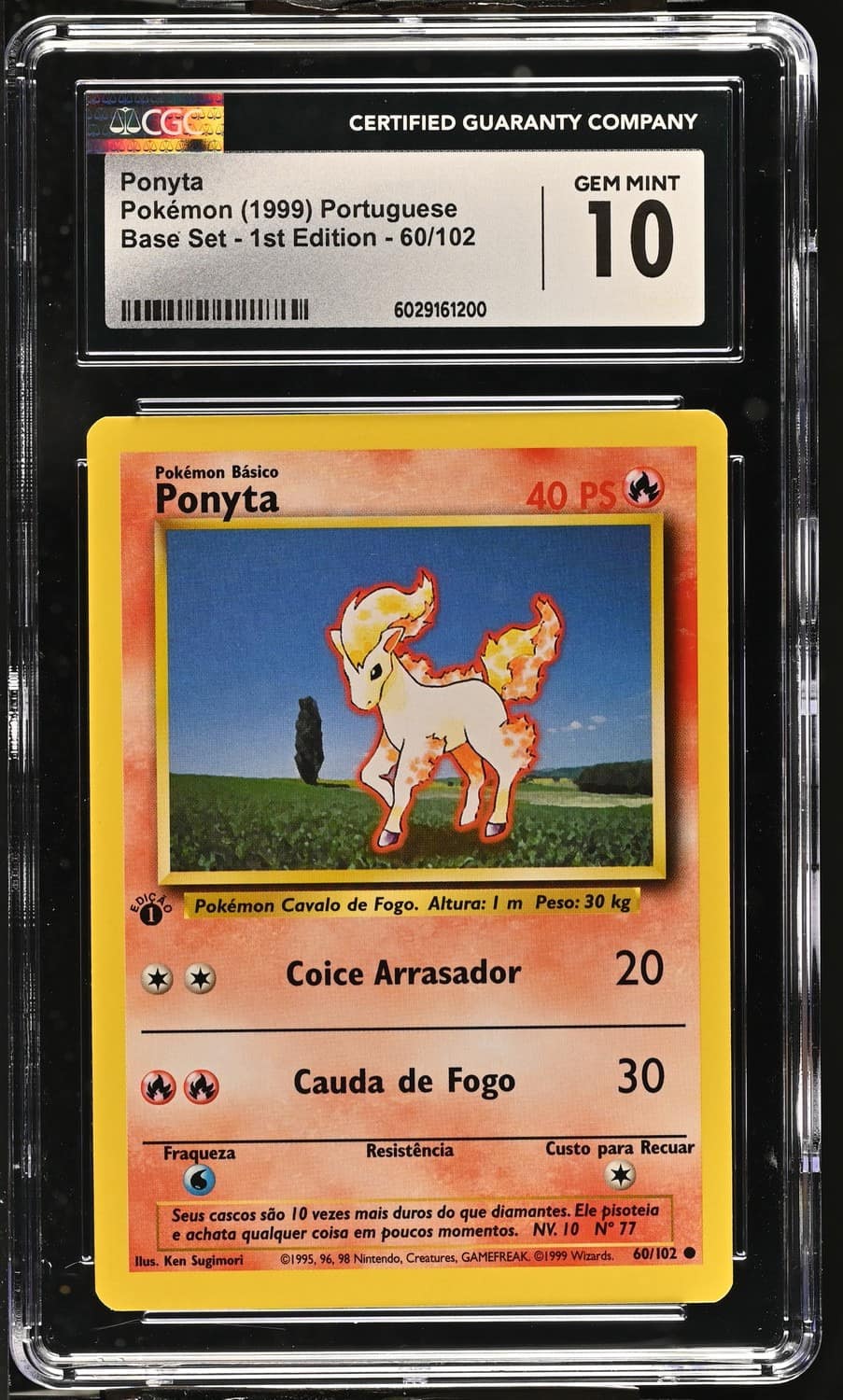 Ponyta