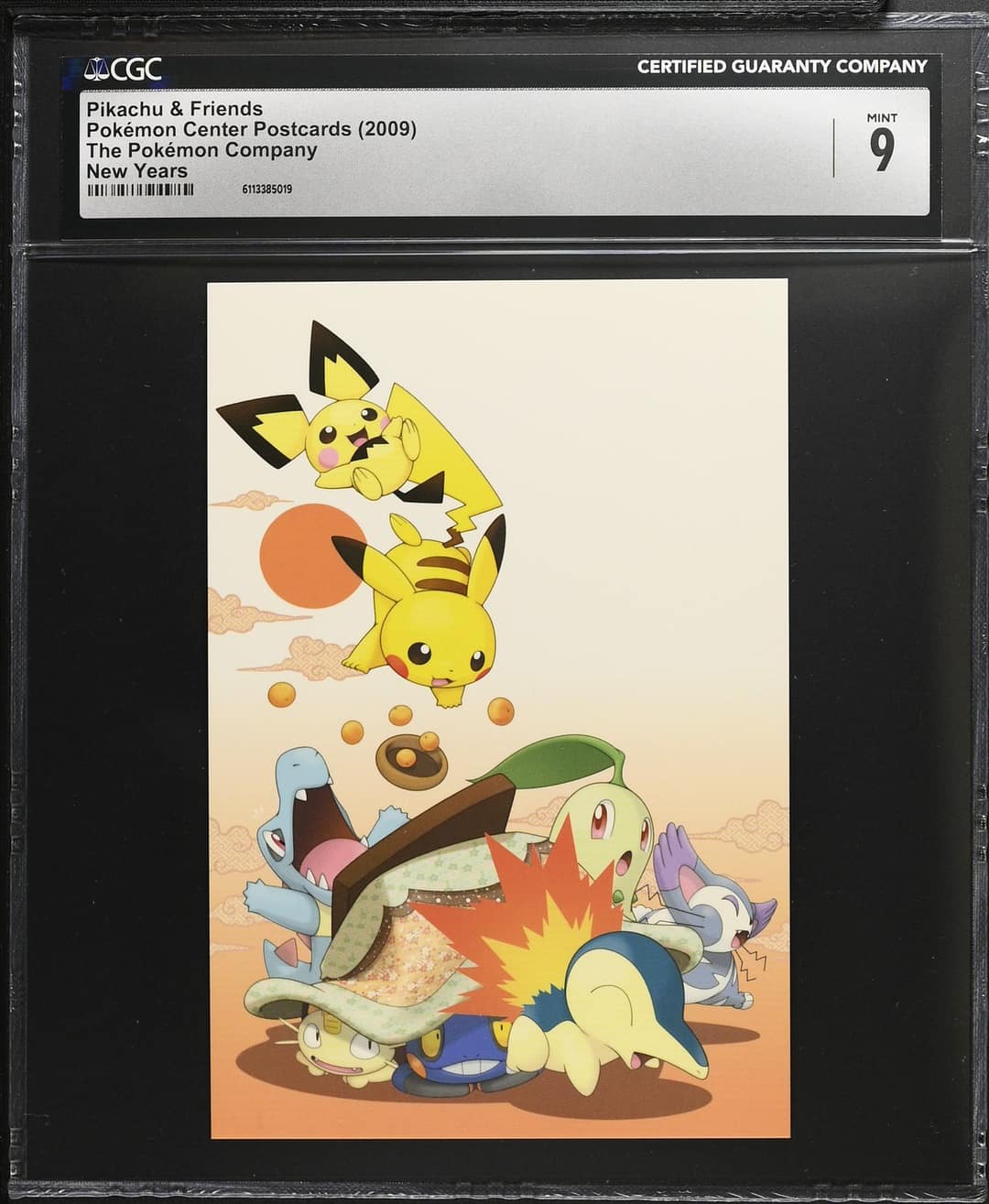 Pikachu & Friends