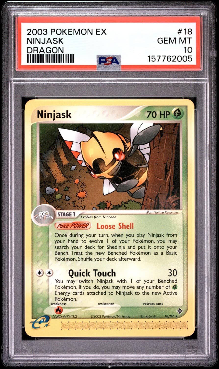Ninjask