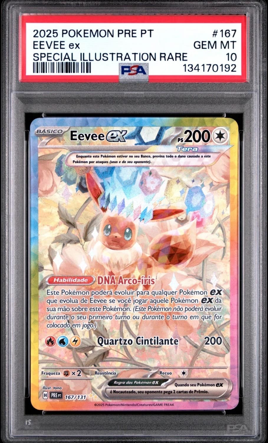 Eevee Ex