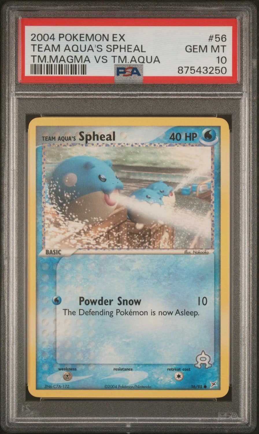 Aqua'S Spheal