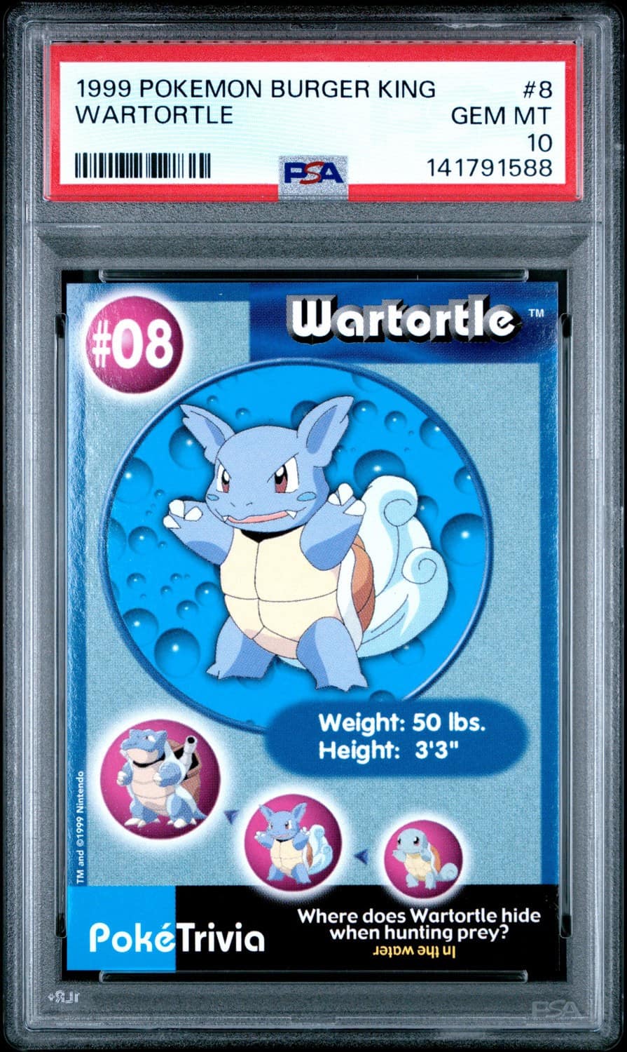 Wartortle