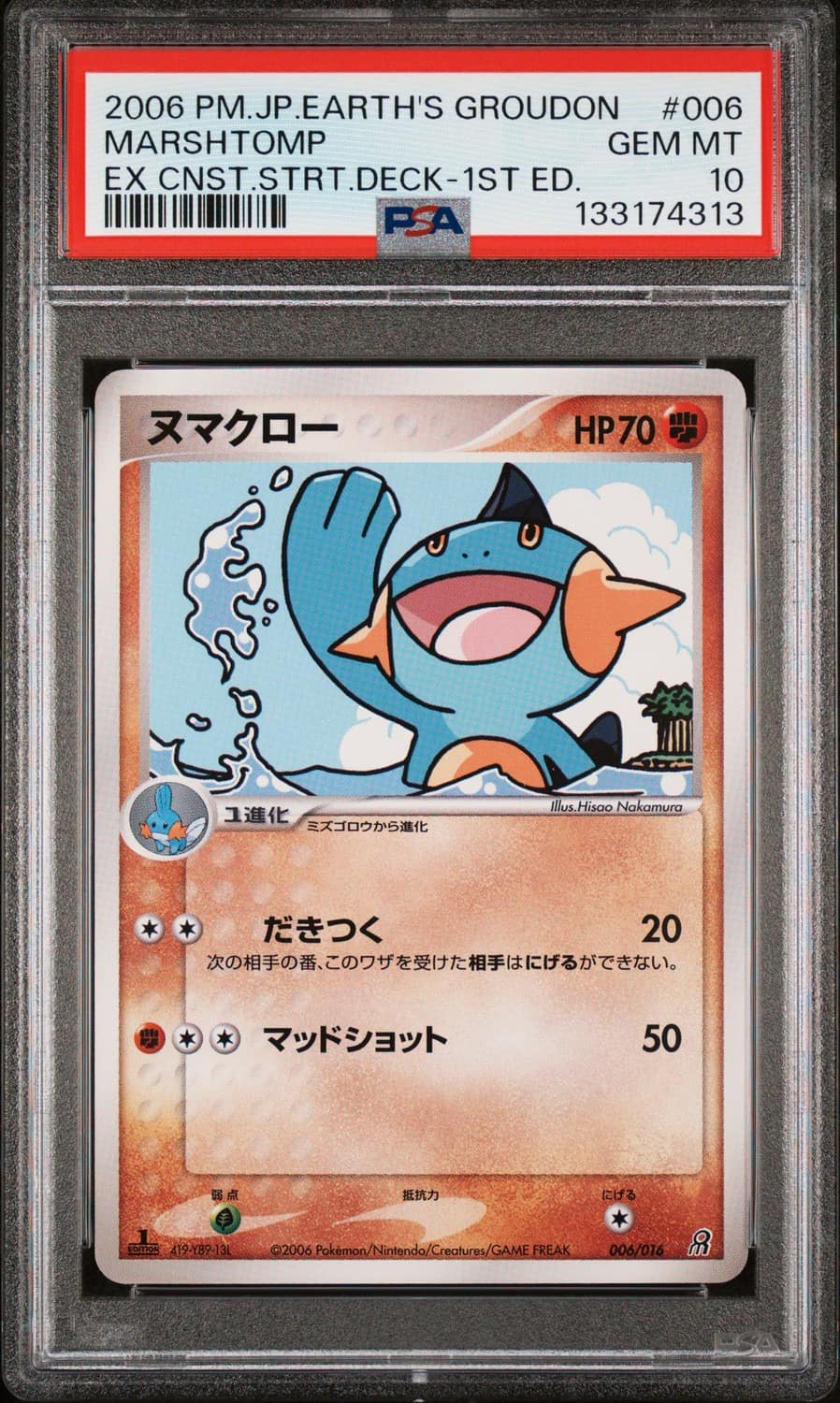 Marshtomp