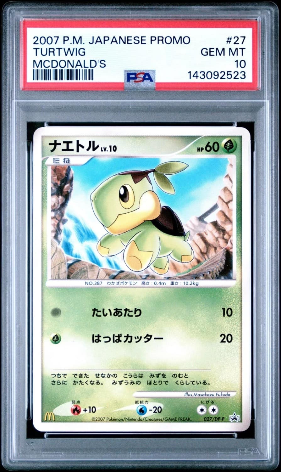 Turtwig