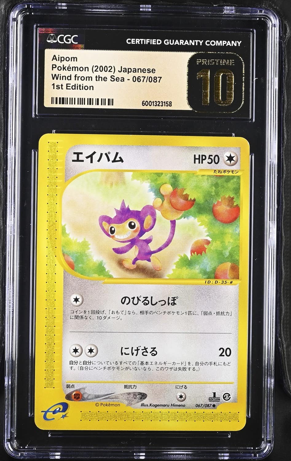 Aipom