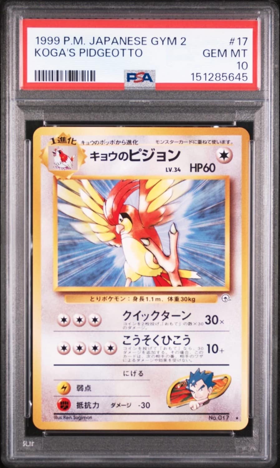 Koga'S Pidgeotto