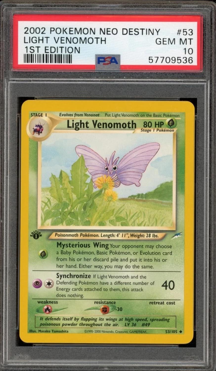 Light Venomoth