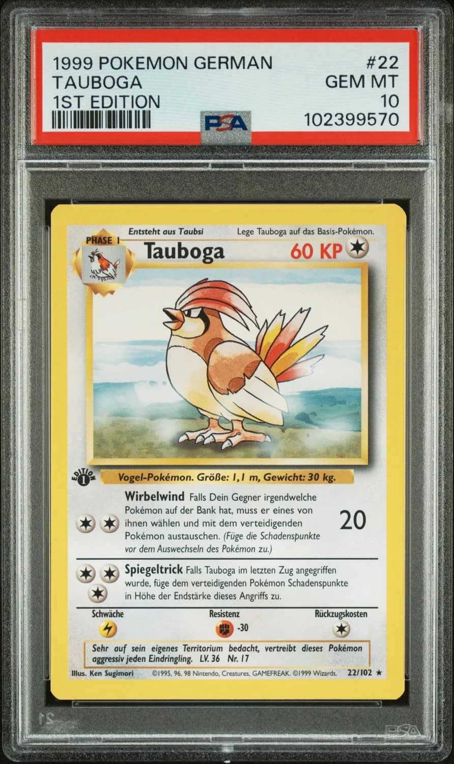 Pidgeotto