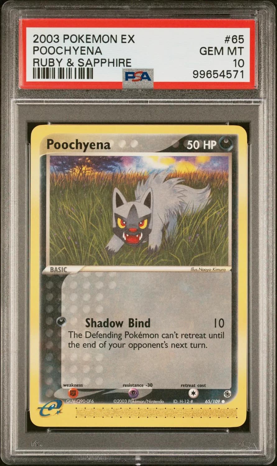 Poochyena