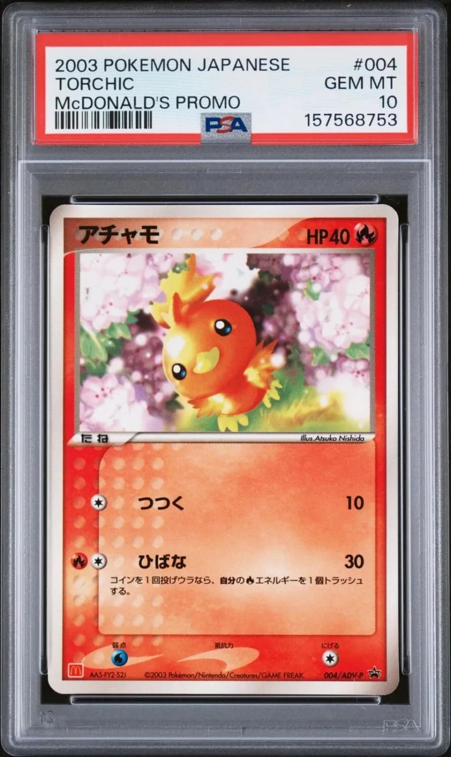 Torchic