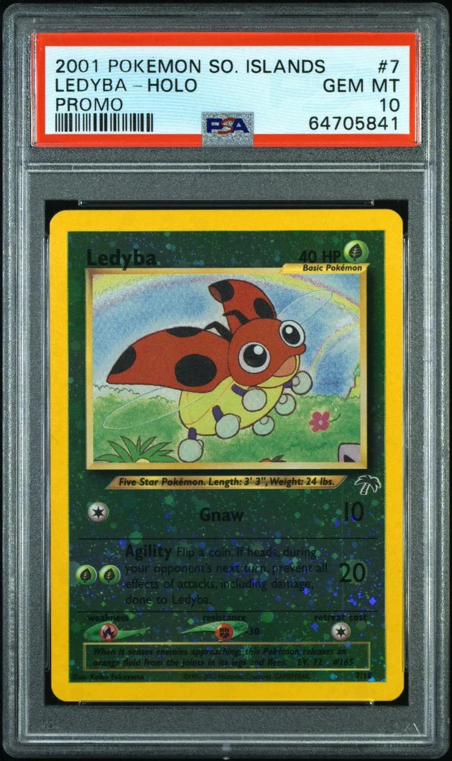 Ledyba