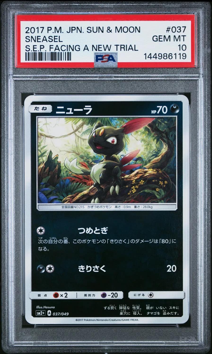 Sneasel