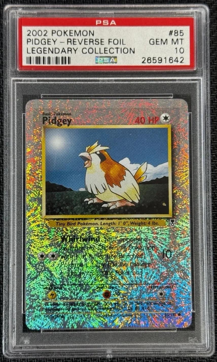 Pidgey