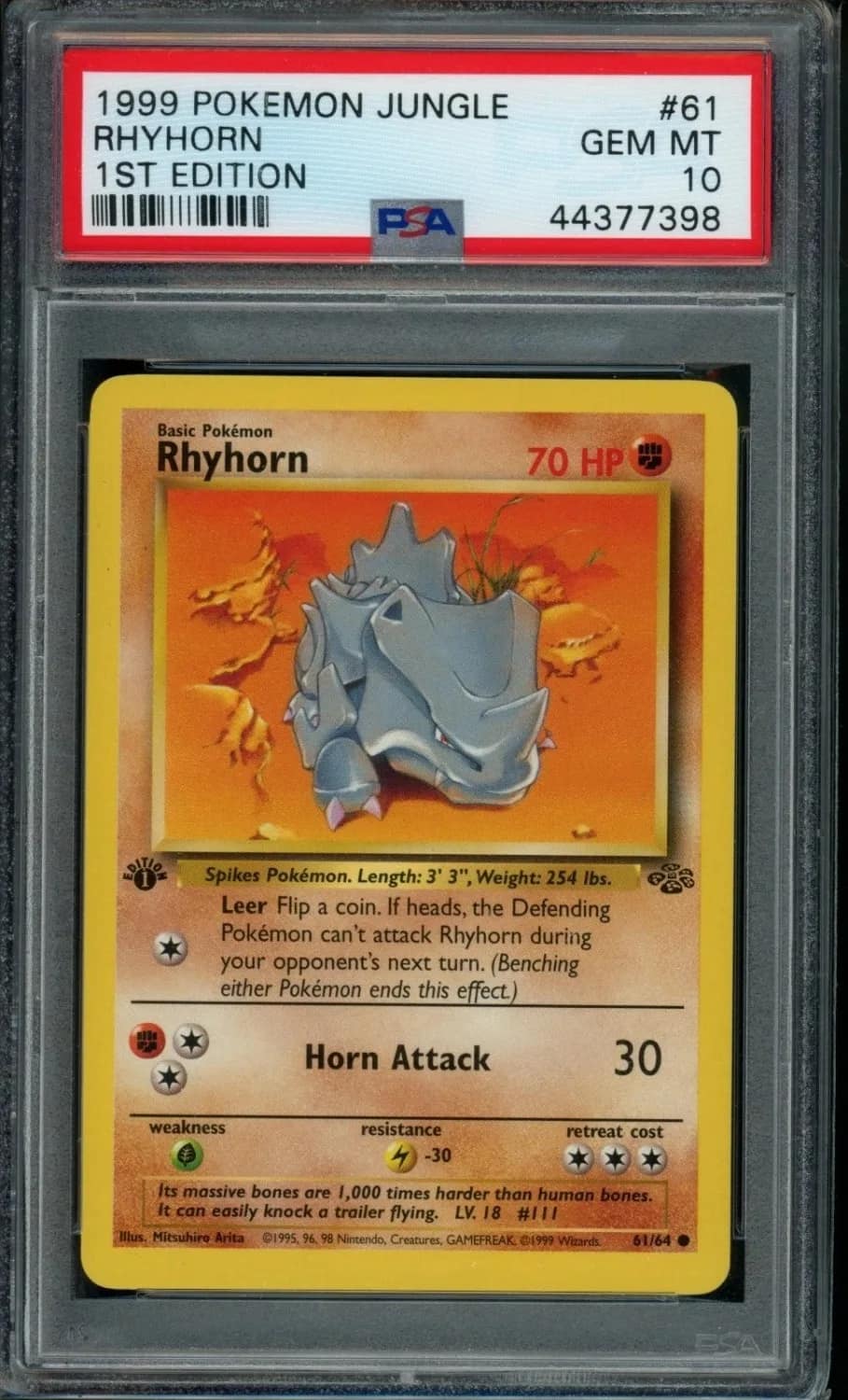 Rhyhorn