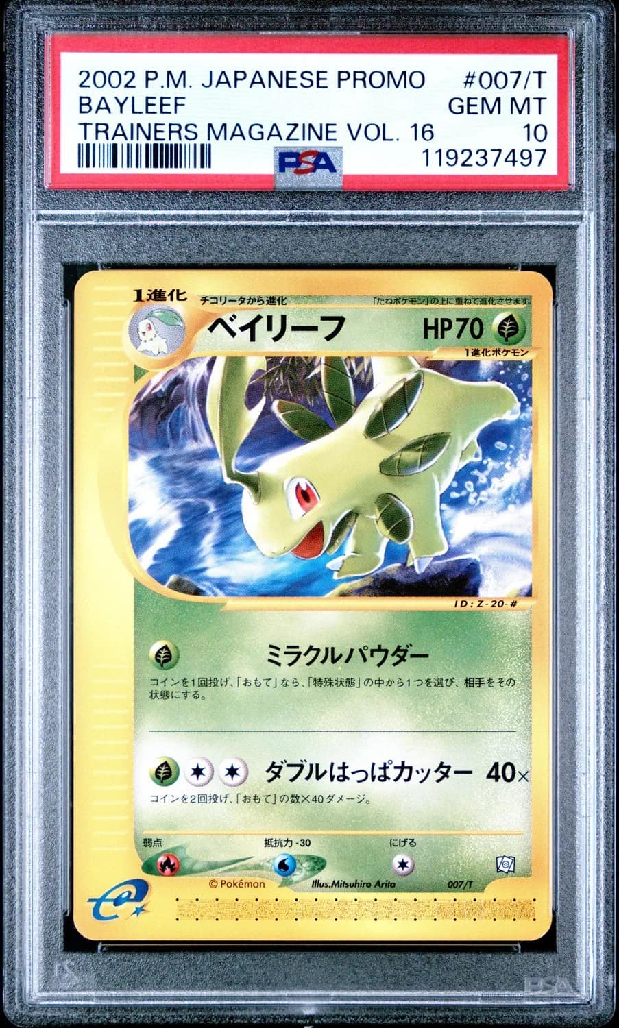 Bayleef