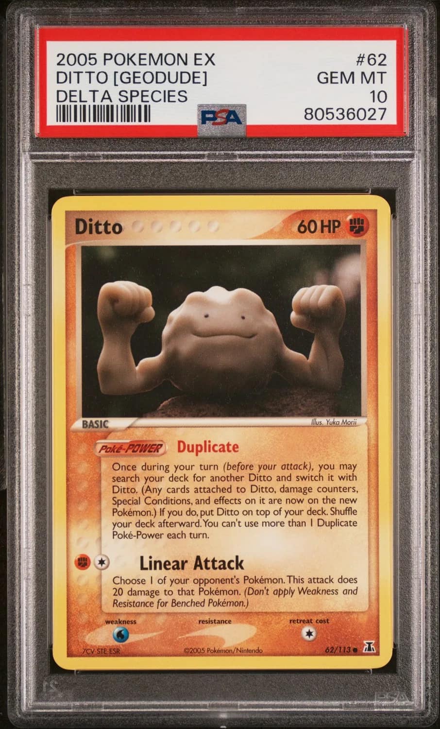 Ditto [geodude]