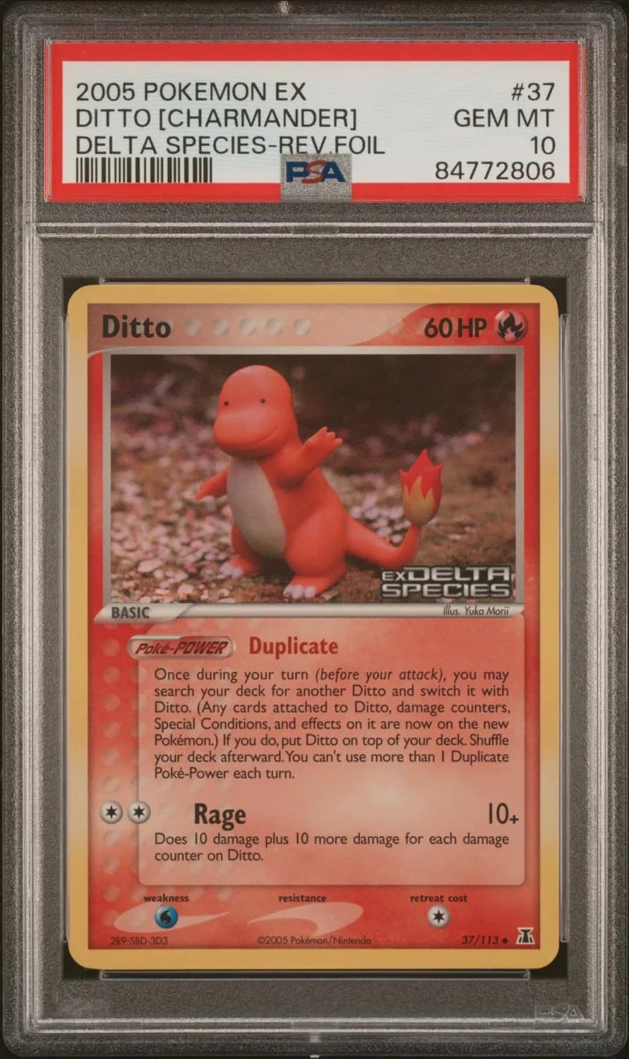 Ditto [charmander]
