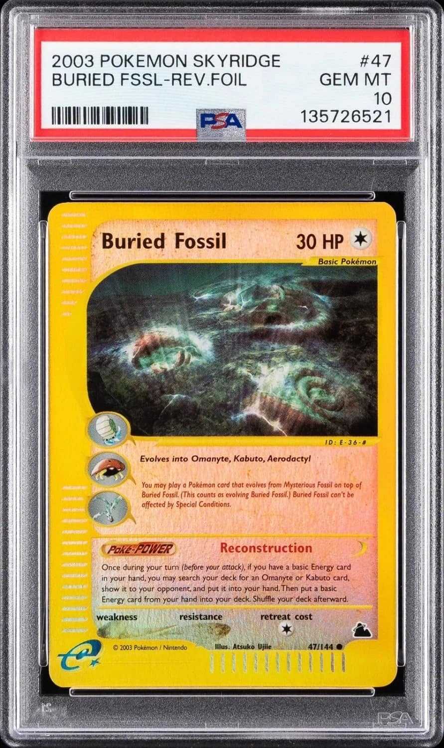 Buried Fossil