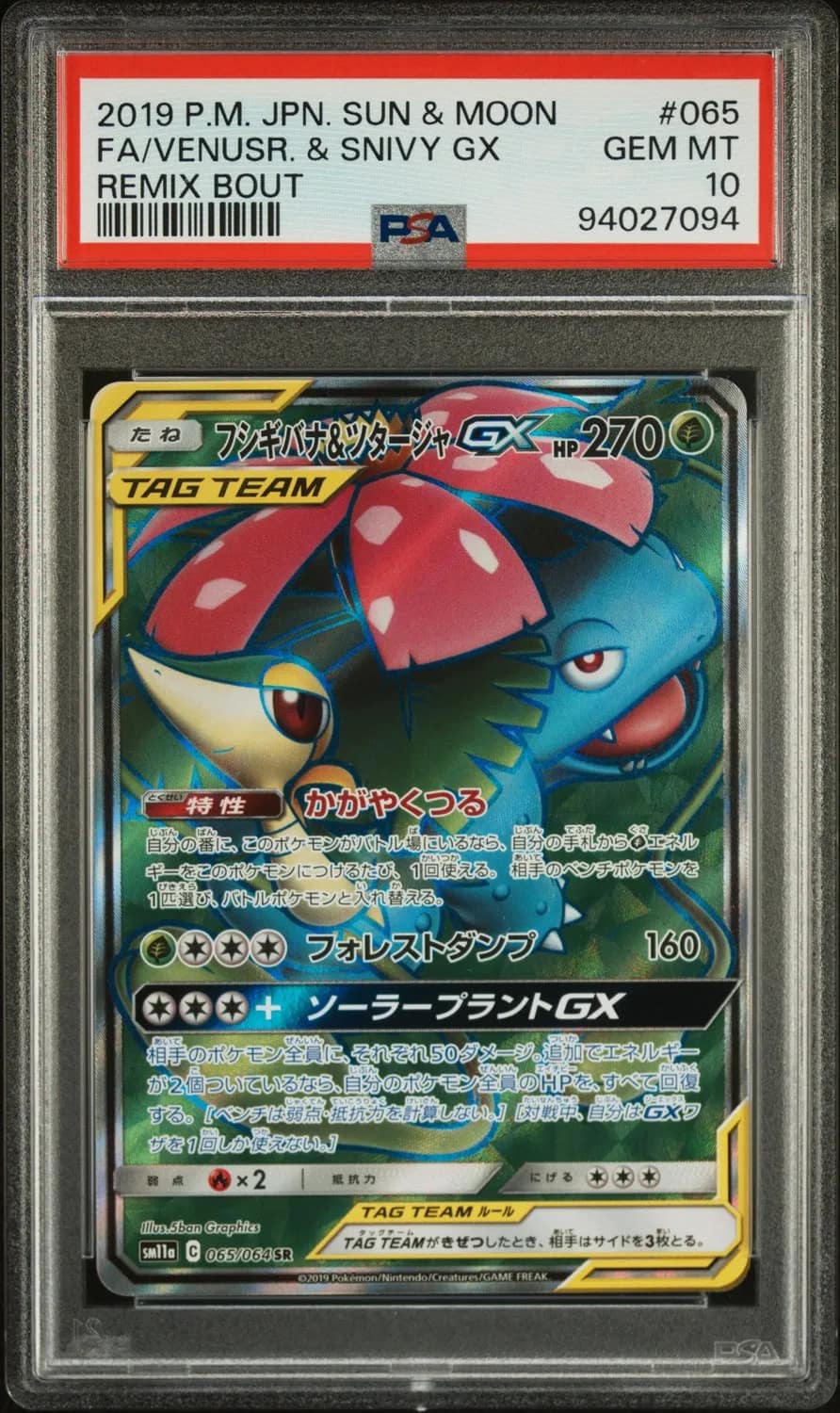 Venusaur & Snivy Gx