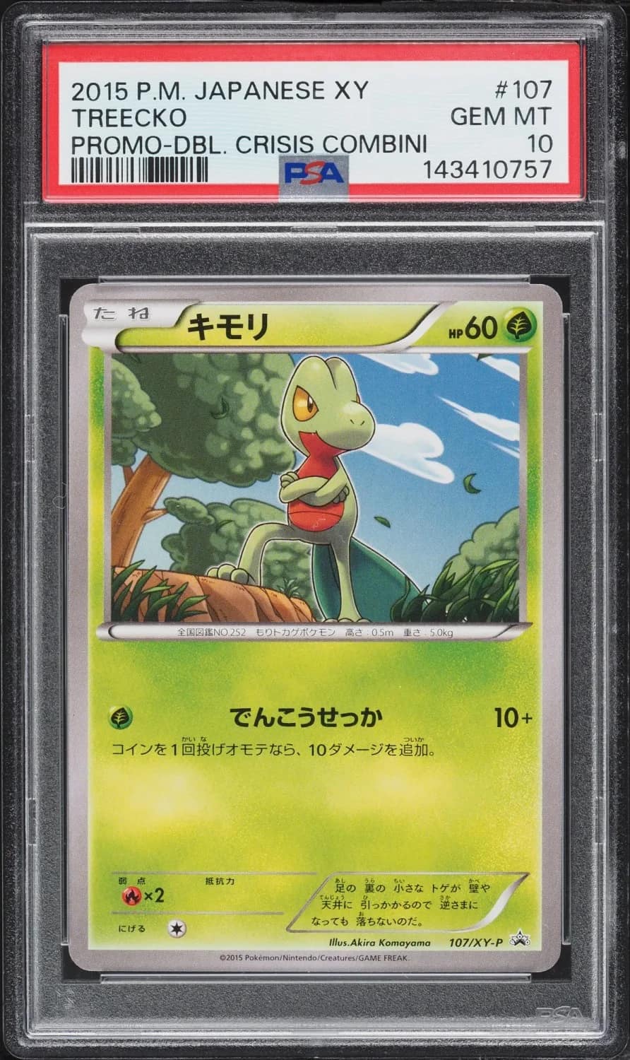 Treecko