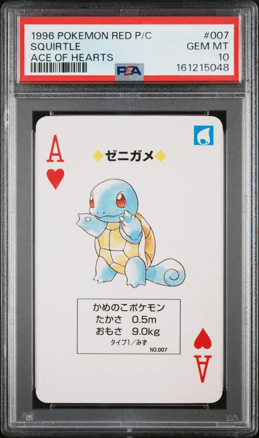 Squirtle