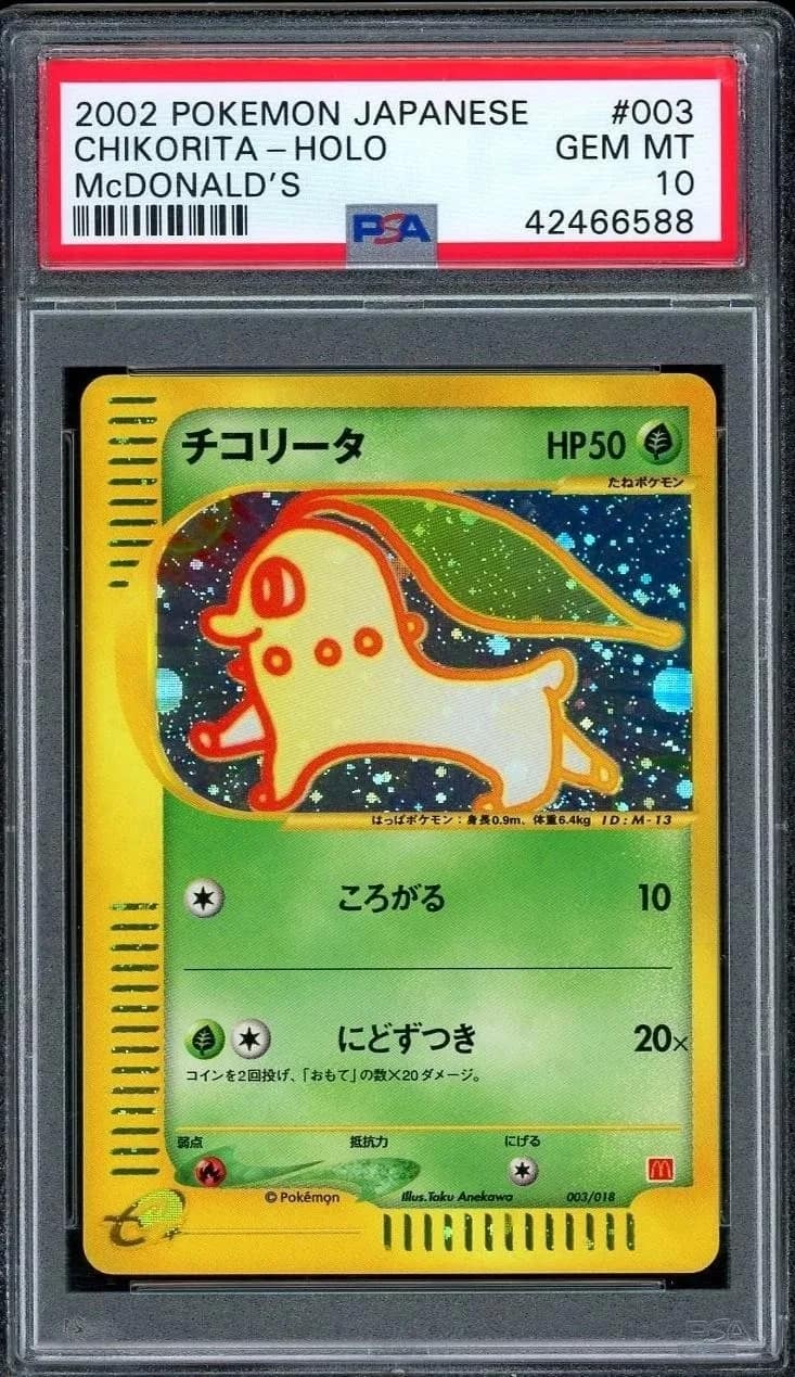 Chikorita