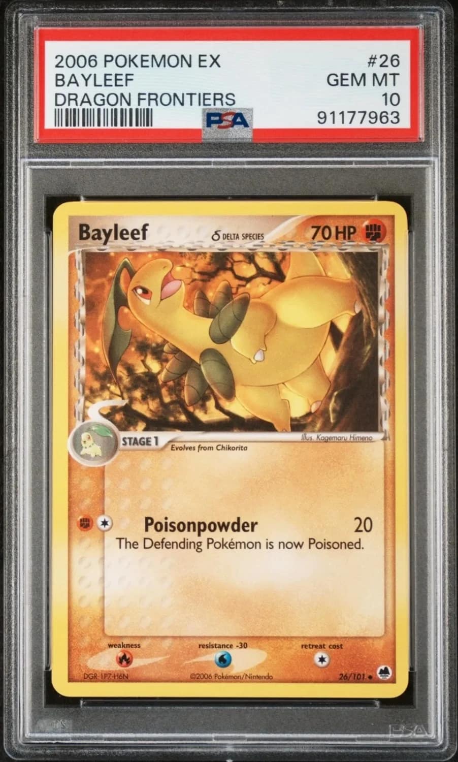 Bayleef δ