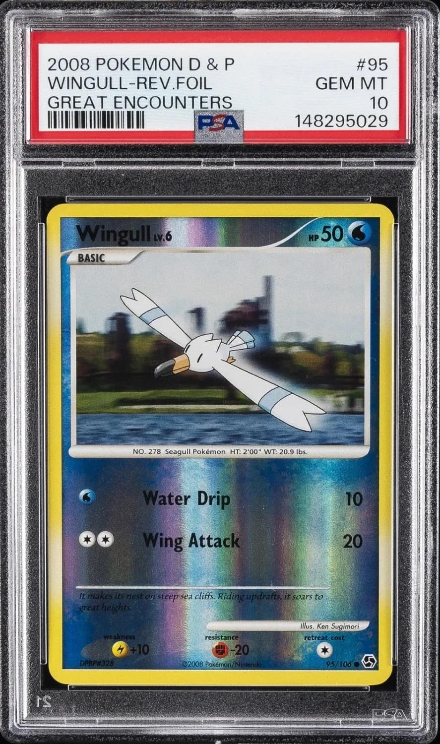 Wingull