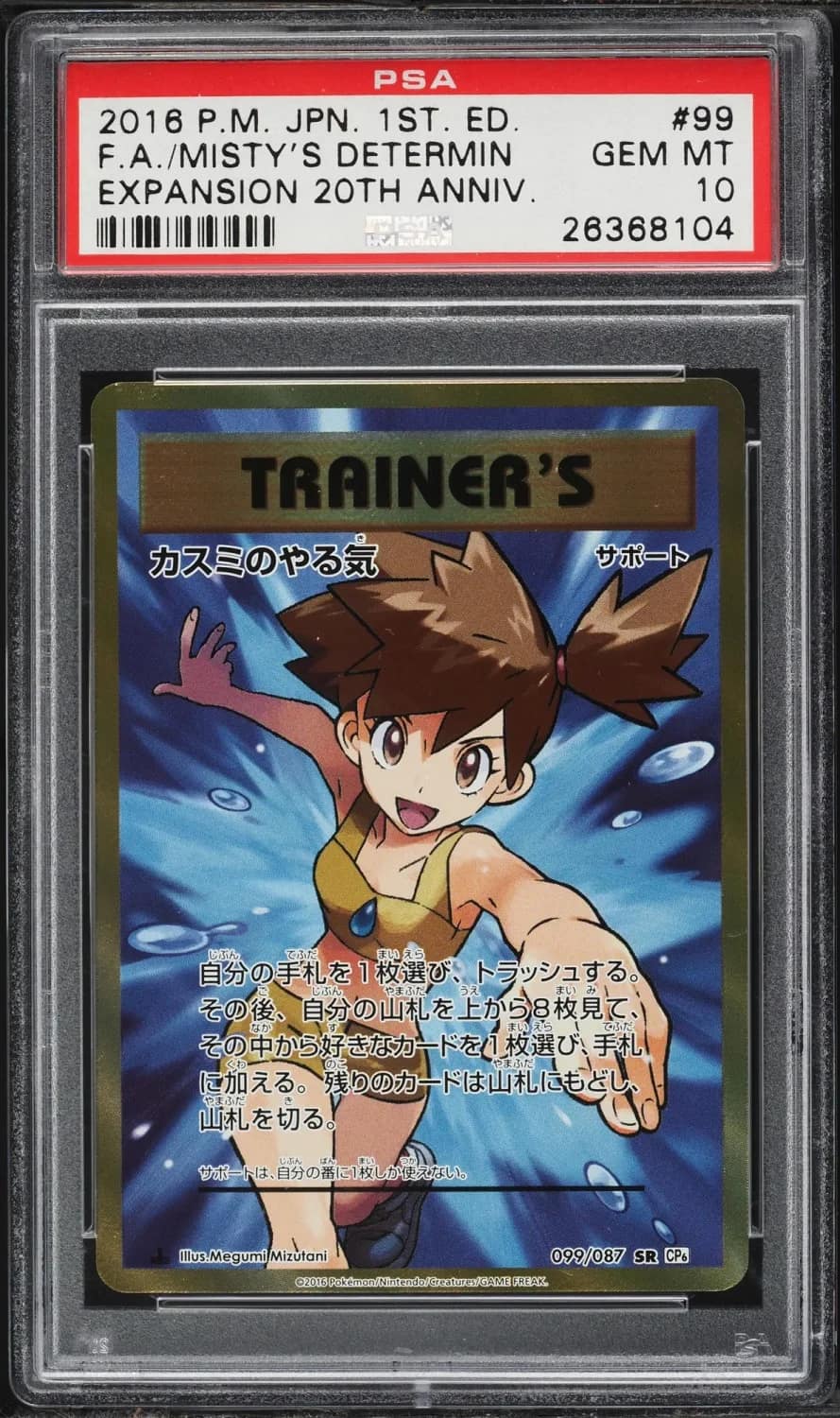 Misty'S Determination
