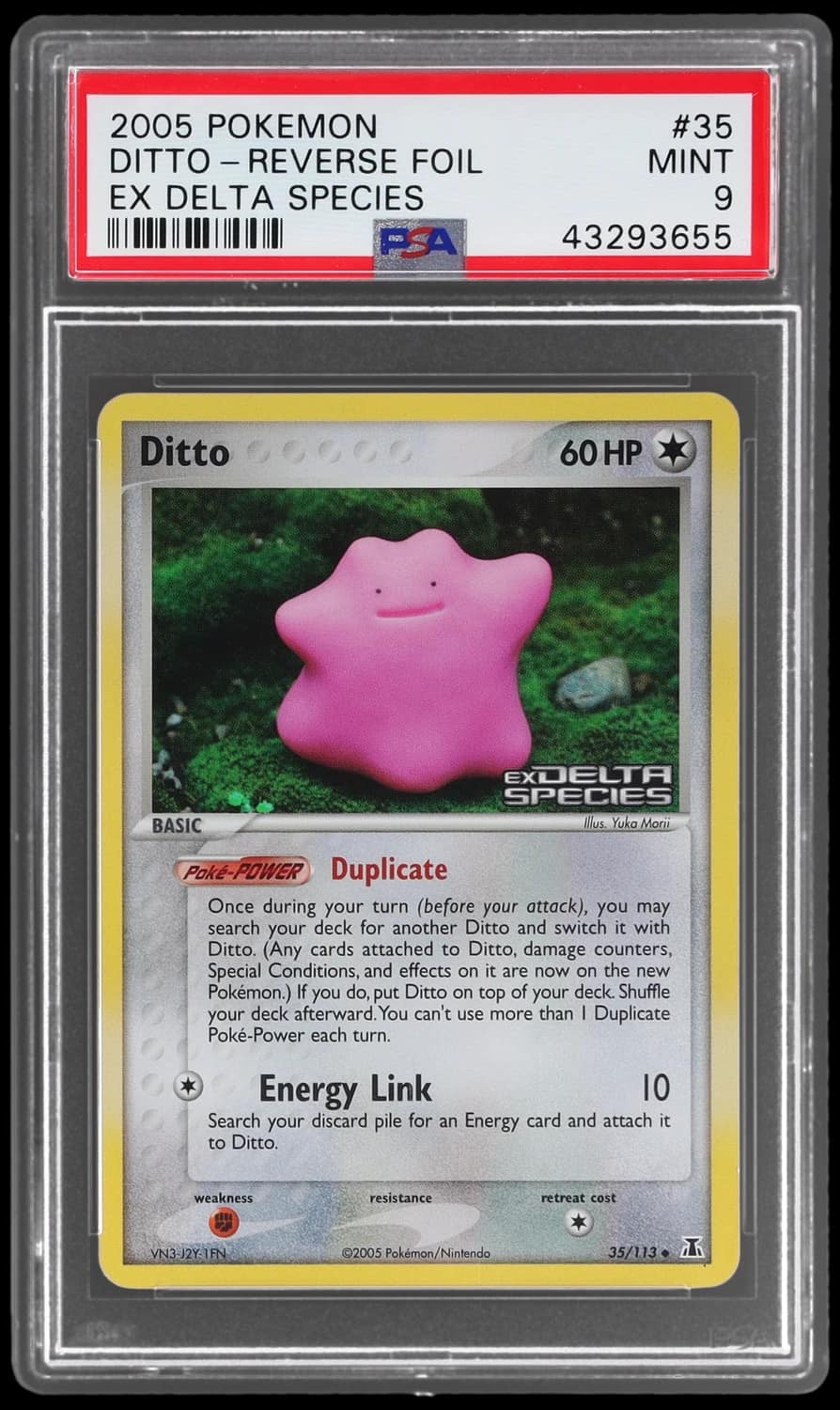 Ditto