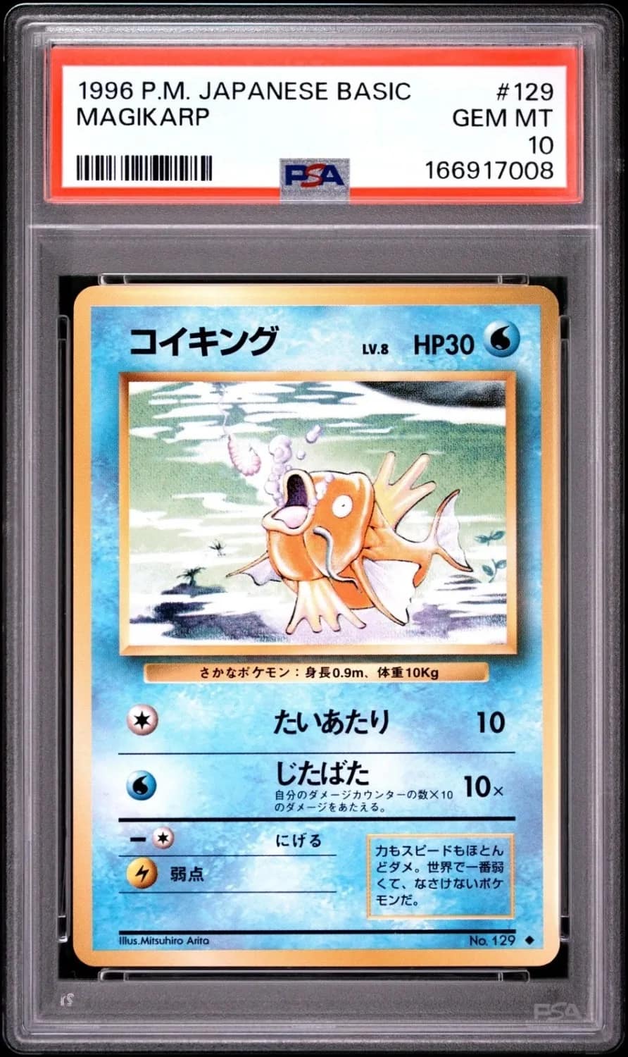 Magikarp