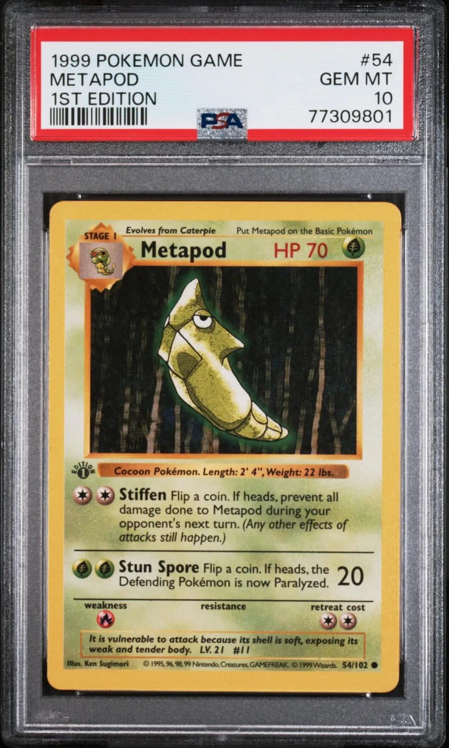 Metapod