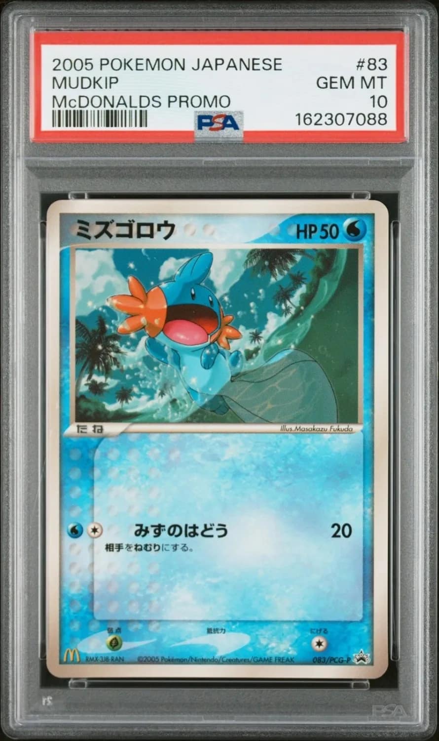 Mudkip