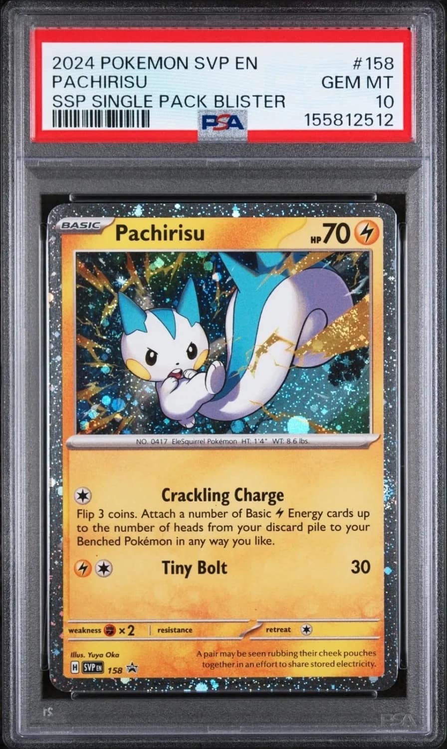 Pachirisu