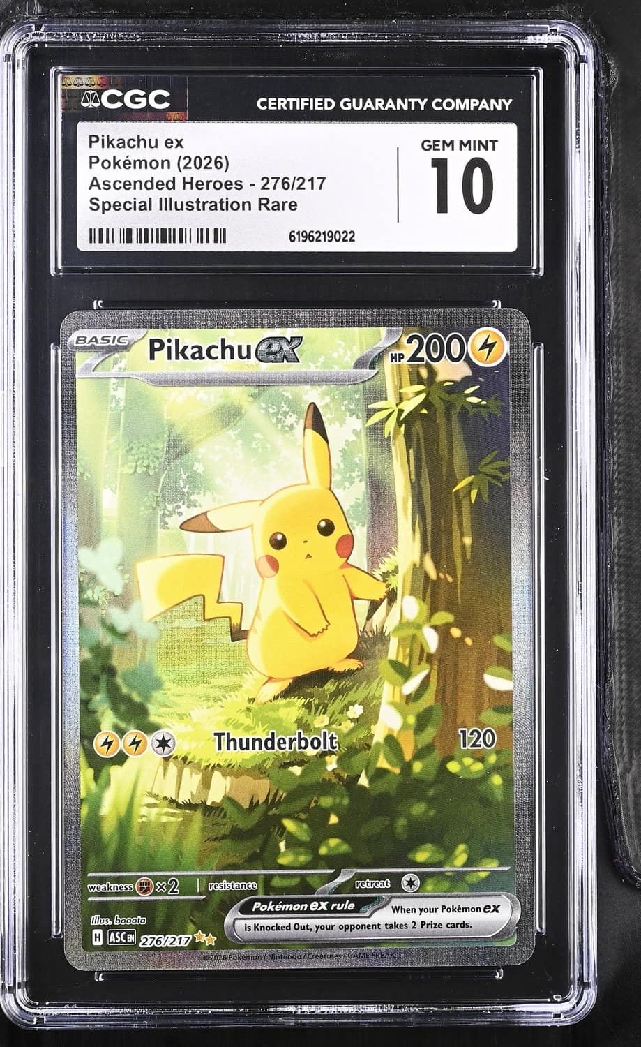 Pikachu Ex