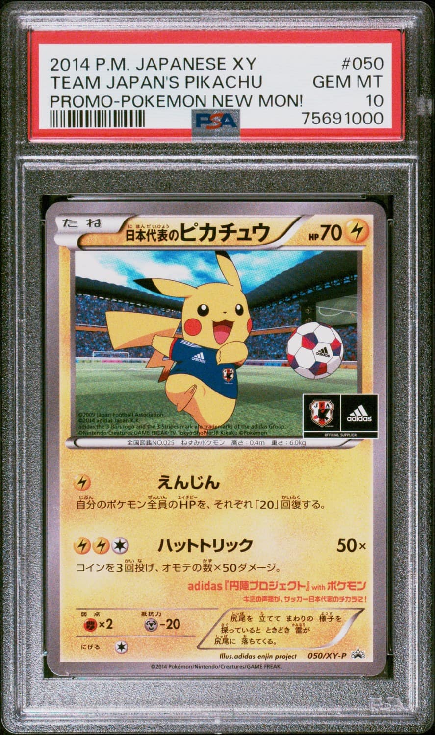 Team Japan'S Pikachu