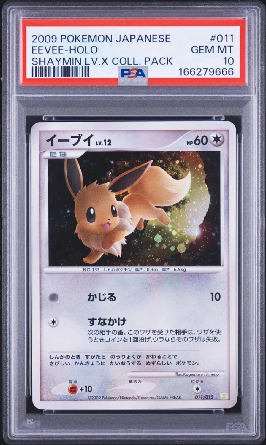 Eevee