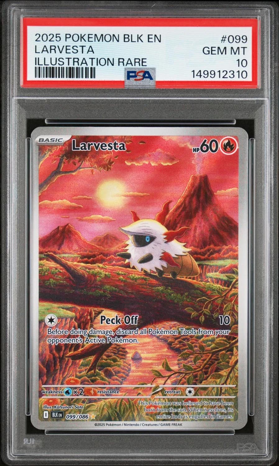 Larvesta