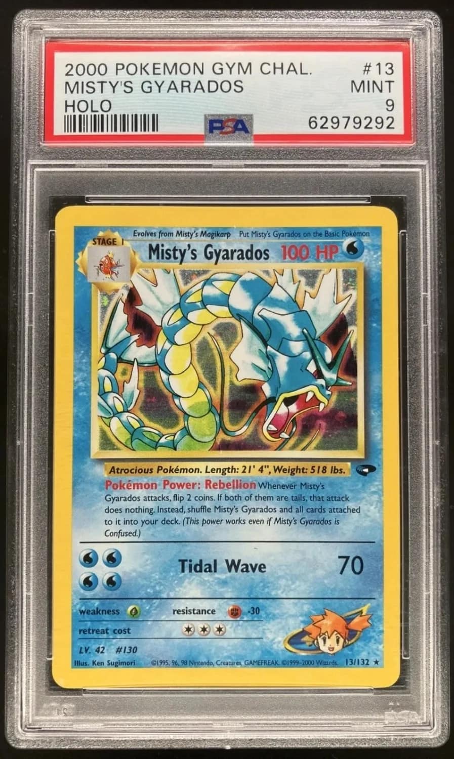 Misty'S Gyarados