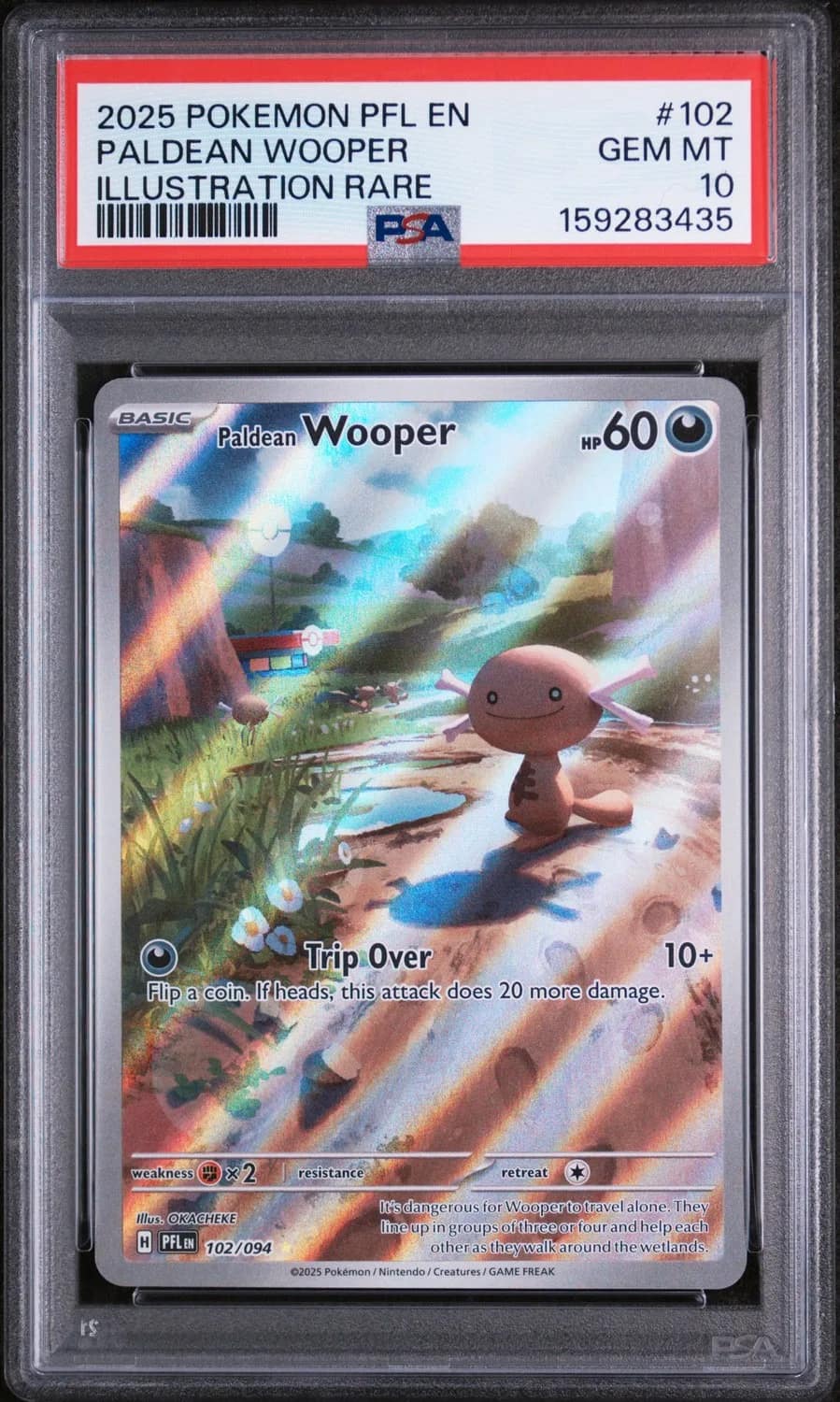 Paldean Wooper