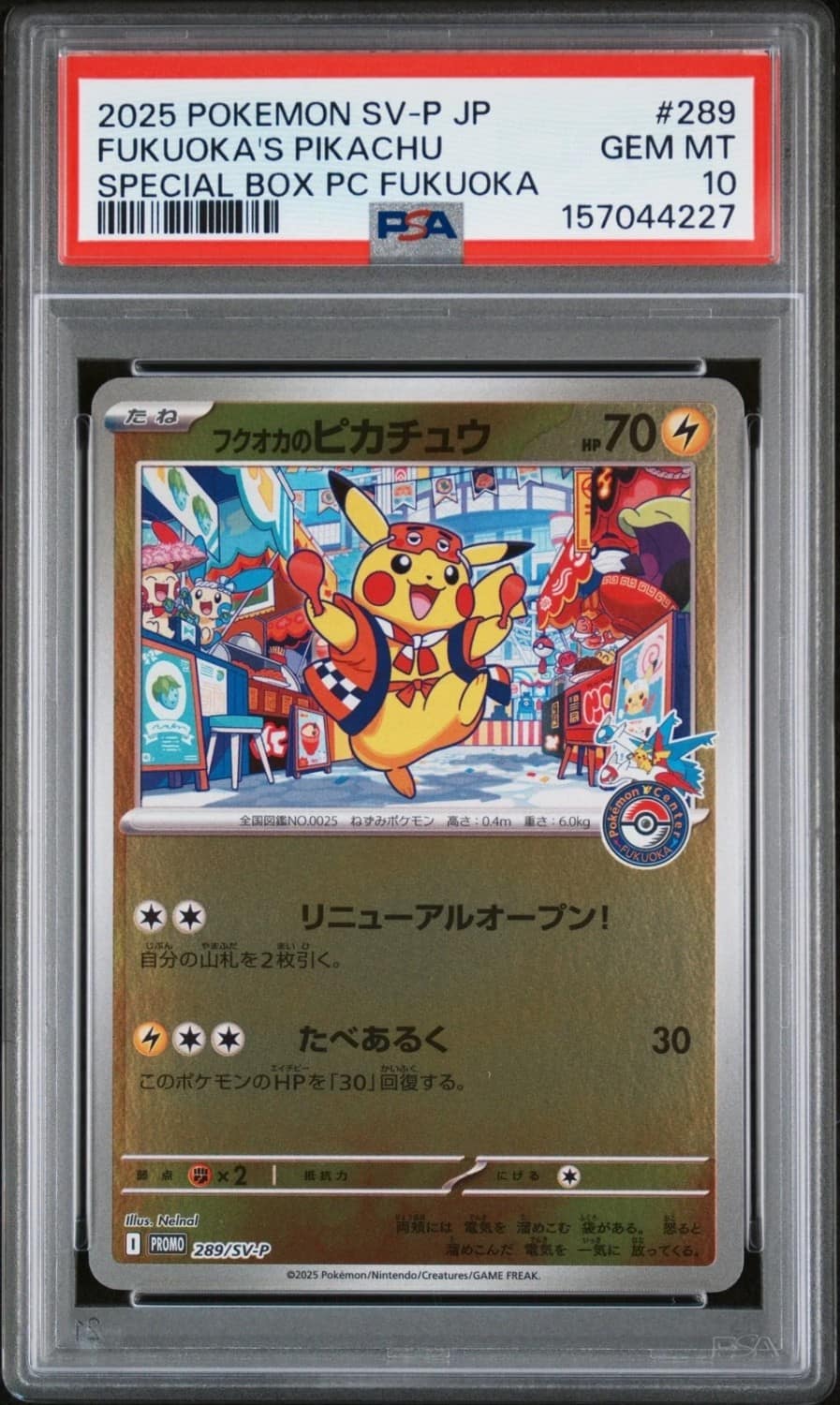 Fukuoka'S Pikachu