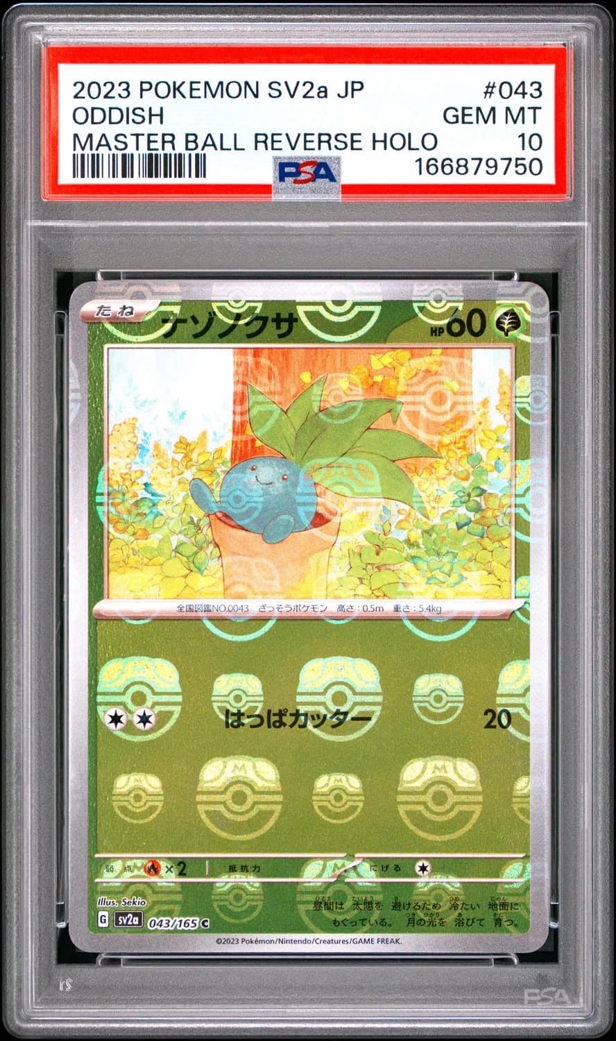 Oddish