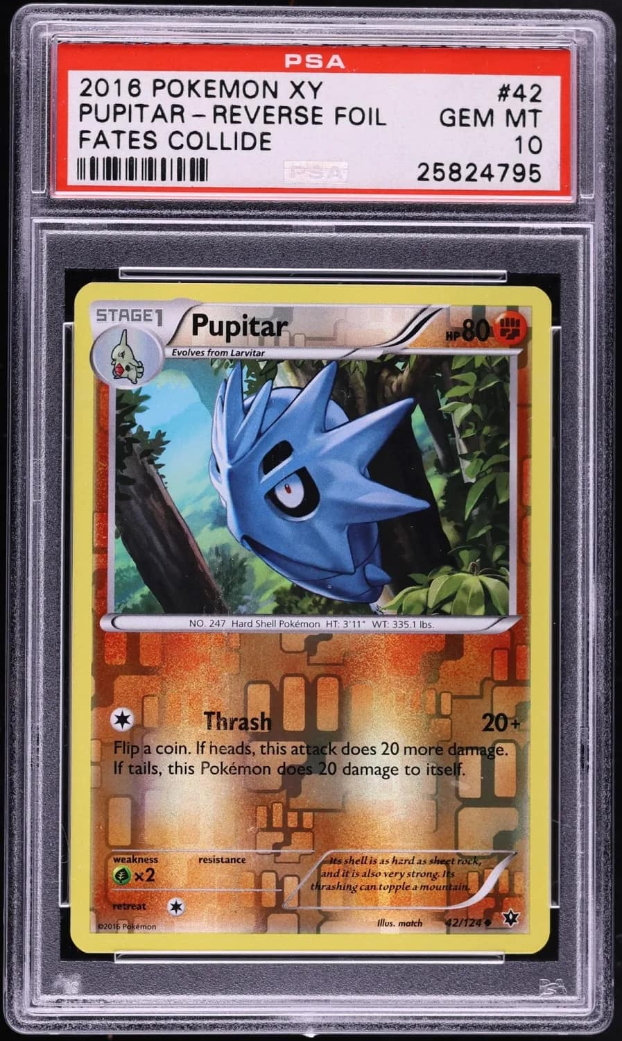 Pupitar