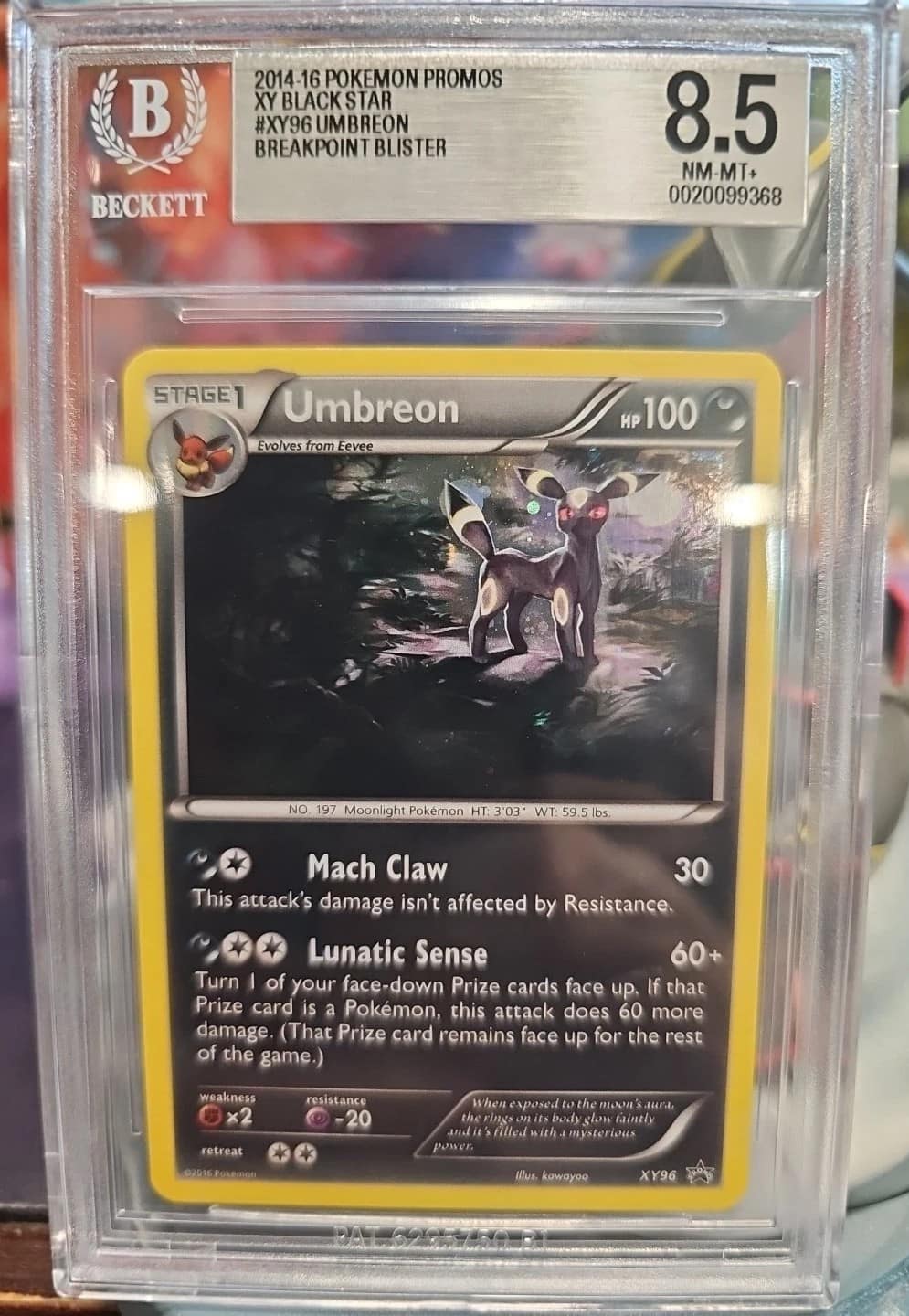 Umbreon